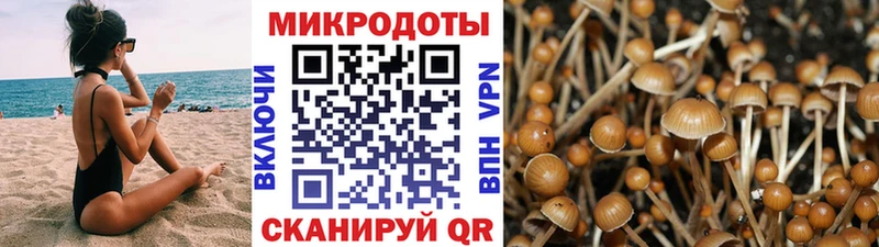 Галлюциногенные грибы ЛСД  даркнет сайт  Новоаннинский 