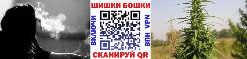 Шишки марихуана SATIVA & INDICA  МЕГА как зайти  Новоаннинский  цена  